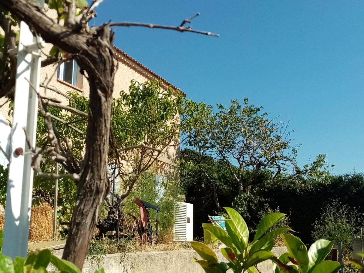 Hysope Apartment Chateau-Arnoux-Saint-Auban Exterior photo